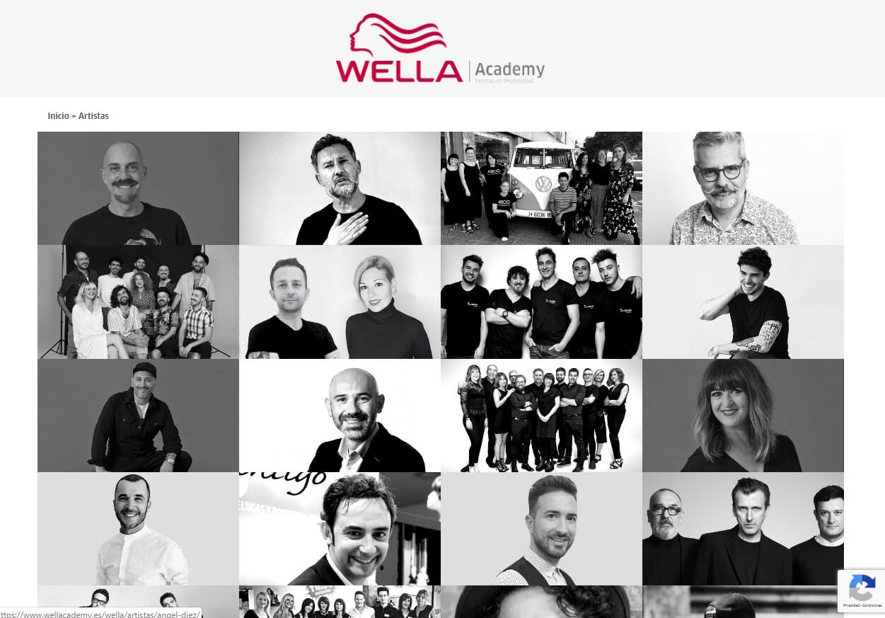 Desarrollo web Wella Academy Artistas