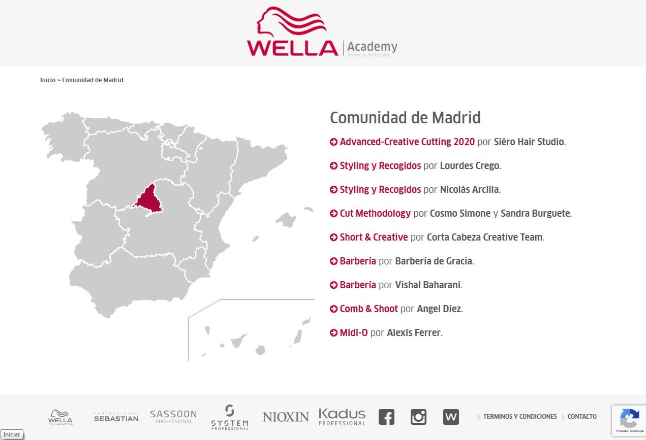 Desarrollo WEB Wella Academy