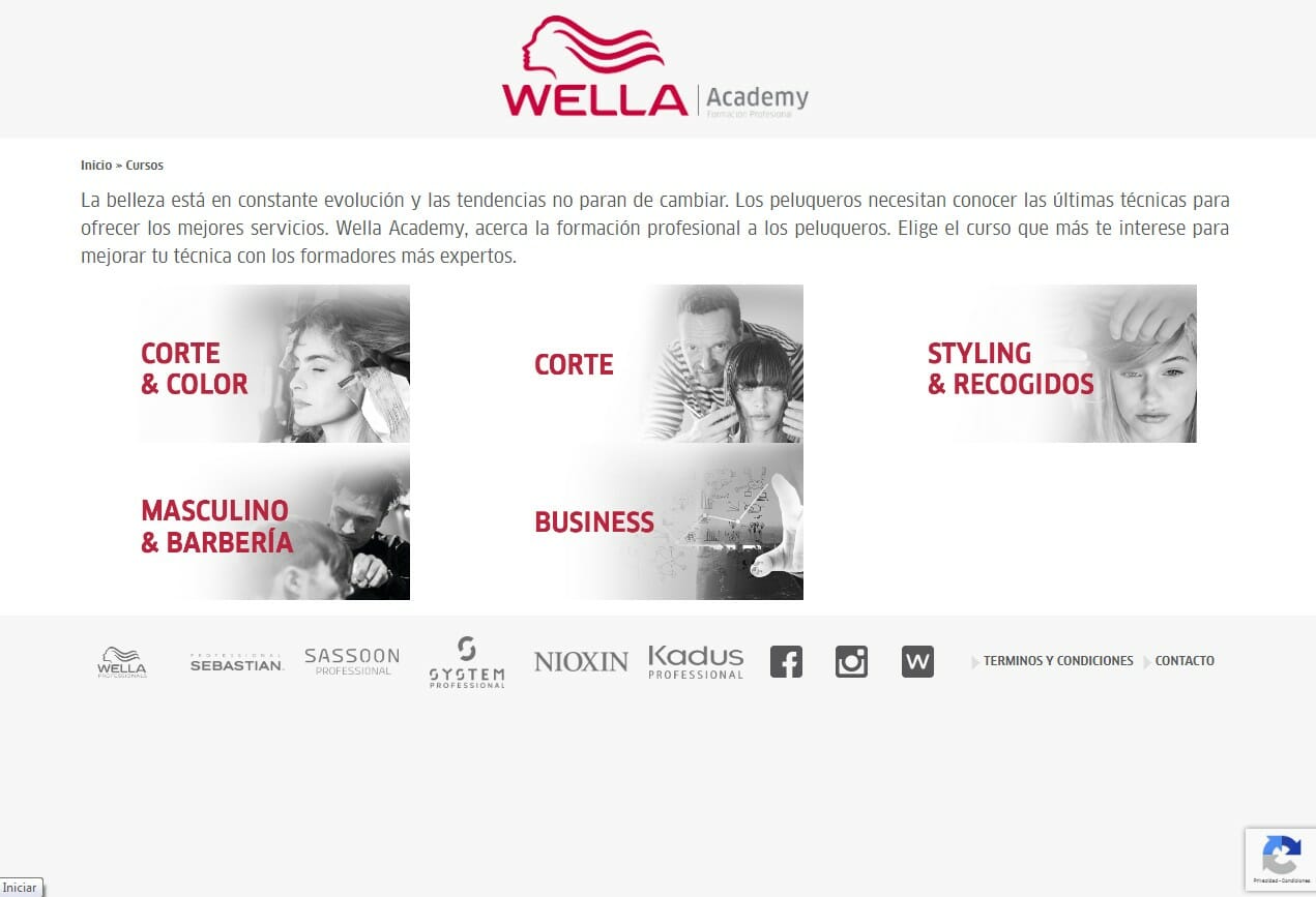 Desarrollo WEB Wella Academy Cursos